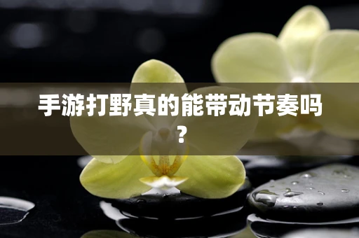 手游打野真的能带动节奏吗？