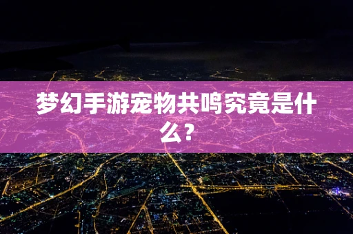 梦幻手游宠物共鸣究竟是什么？