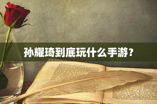 孙耀琦到底玩什么手游？