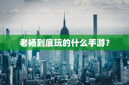 老杨到底玩的什么手游？