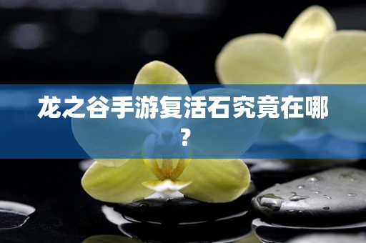 龙之谷手游复活石究竟在哪？