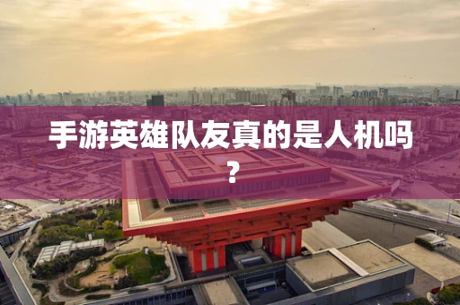 手游英雄队友真的是人机吗？