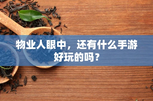物业人眼中，还有什么手游好玩的吗？
