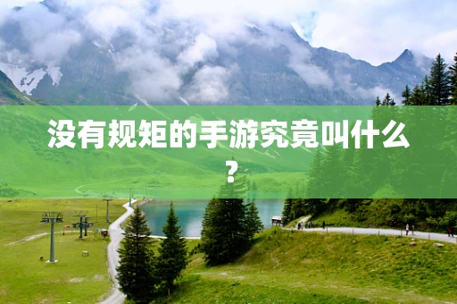没有规矩的手游究竟叫什么？