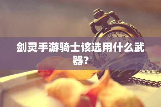 剑灵手游骑士该选用什么武器？