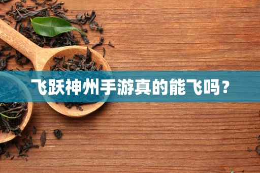 飞跃神州手游真的能飞吗？