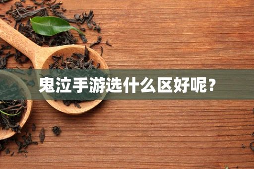 鬼泣手游选什么区好呢？