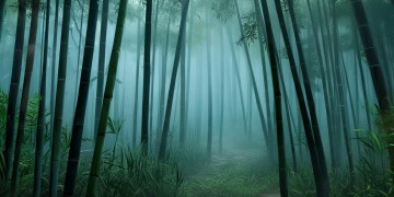 寻侠手游如今还能玩吗？