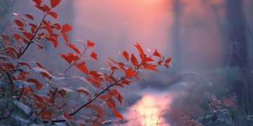 EVE晨曦是手游吗？