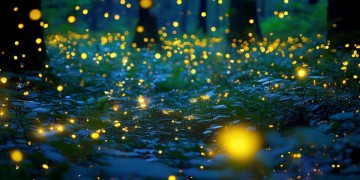 萤火突击只有手游吗？