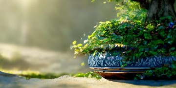 梦幻手游种树该用什么盆？