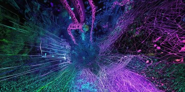 手游生化属性到底是什么？